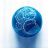 Icon representing local expertise